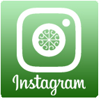 green.lab スケジュール