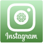 green.lab スケジュール